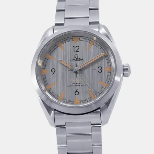 Omega Seamaster Railmaster | Grey Dial | 40mm Steel Auto